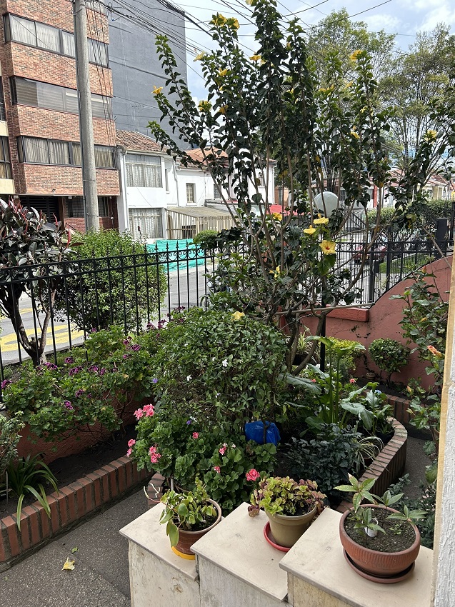 Chapinero, Bogotá, 3 Habitaciones Habitaciones, 0 ,4 BathroomsBathrooms,Casa,En Venta,0,1003